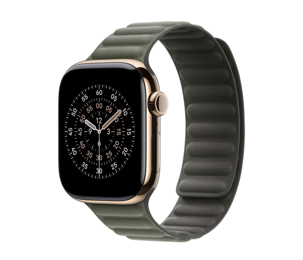 Apple Pasek magnetyczny 46 mm M/L szałwiowy - 1362618 - zdjęcie